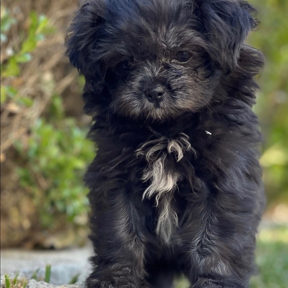 Meet your Posher, Melinda - Picture 3 of 3